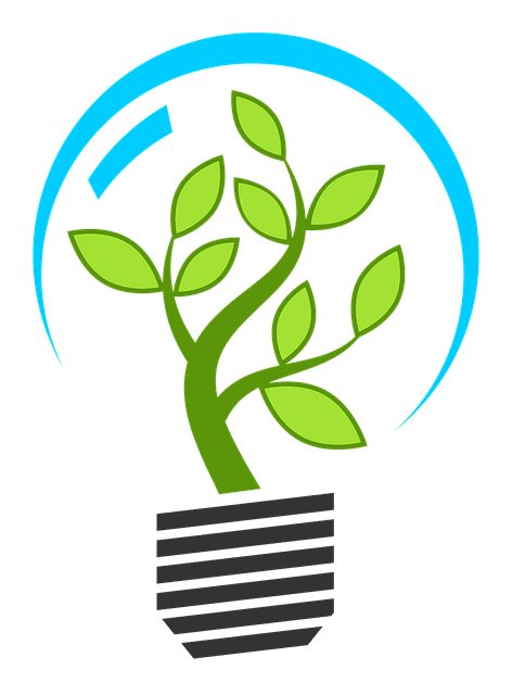 Consommation eco responsable