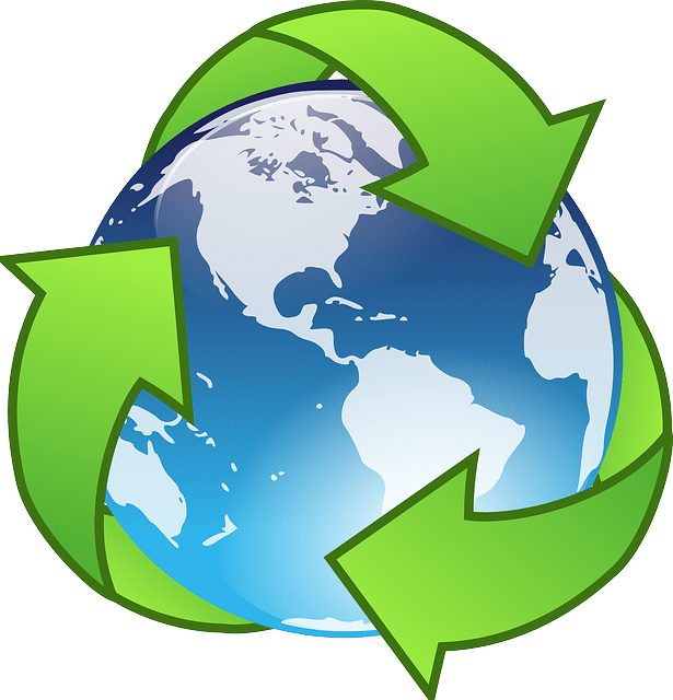 Logo eco responsable